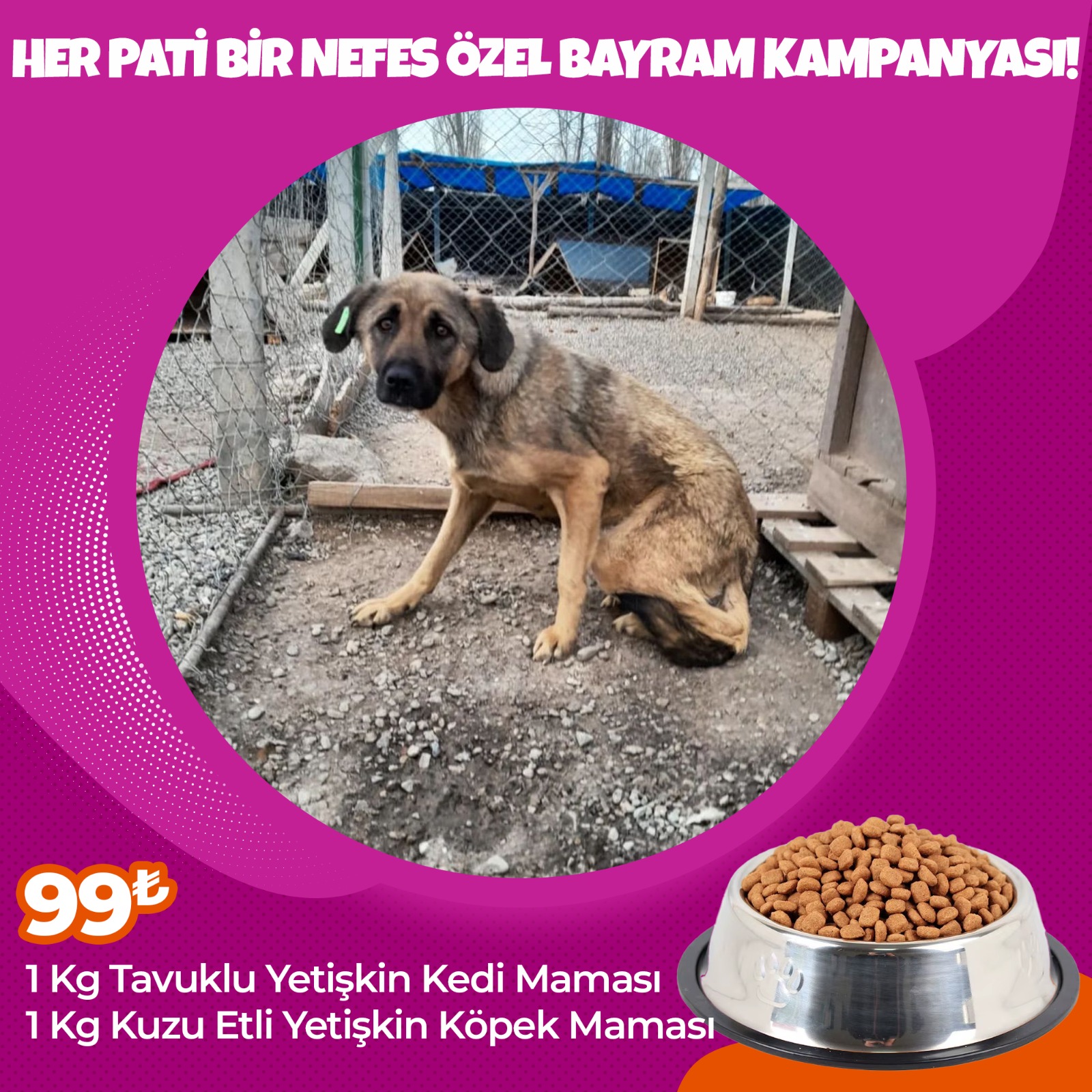 Her Pati Bir Nefes Bayram Özel