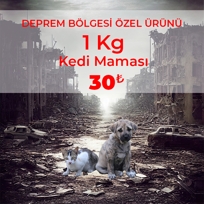 1 Kg Yetişkin Kedi Maması