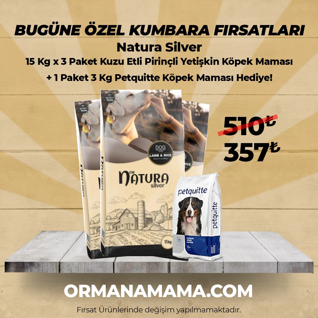 Natura Silver Kuzu Etli Pirinçli 15 Kg Yetişkin Köpek Maması X 3 Paket  + 1 Pk Petquitte 3 Kg Köpek Maması Hediye