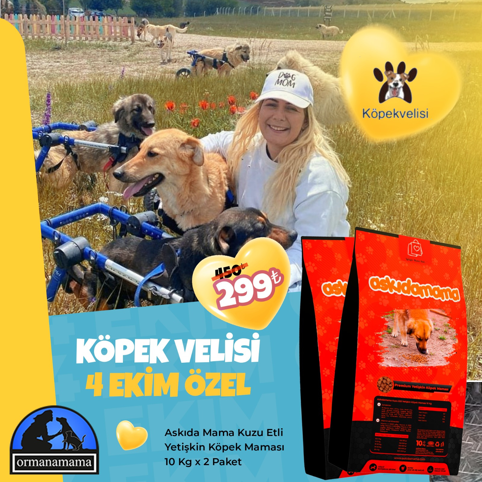 Köpek Velisi 4 Ekim Özel