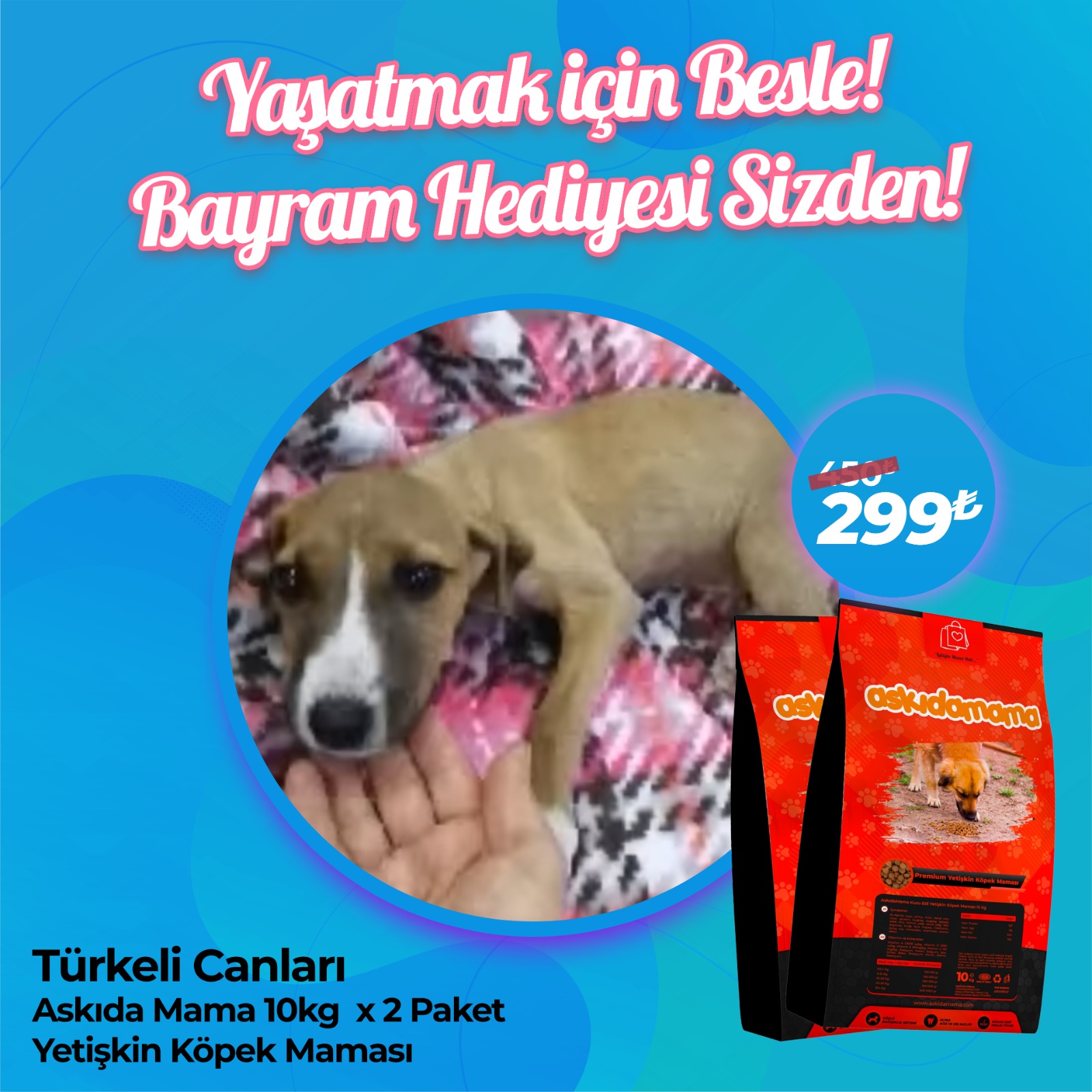 Türkeli Canları Özel Ürünü