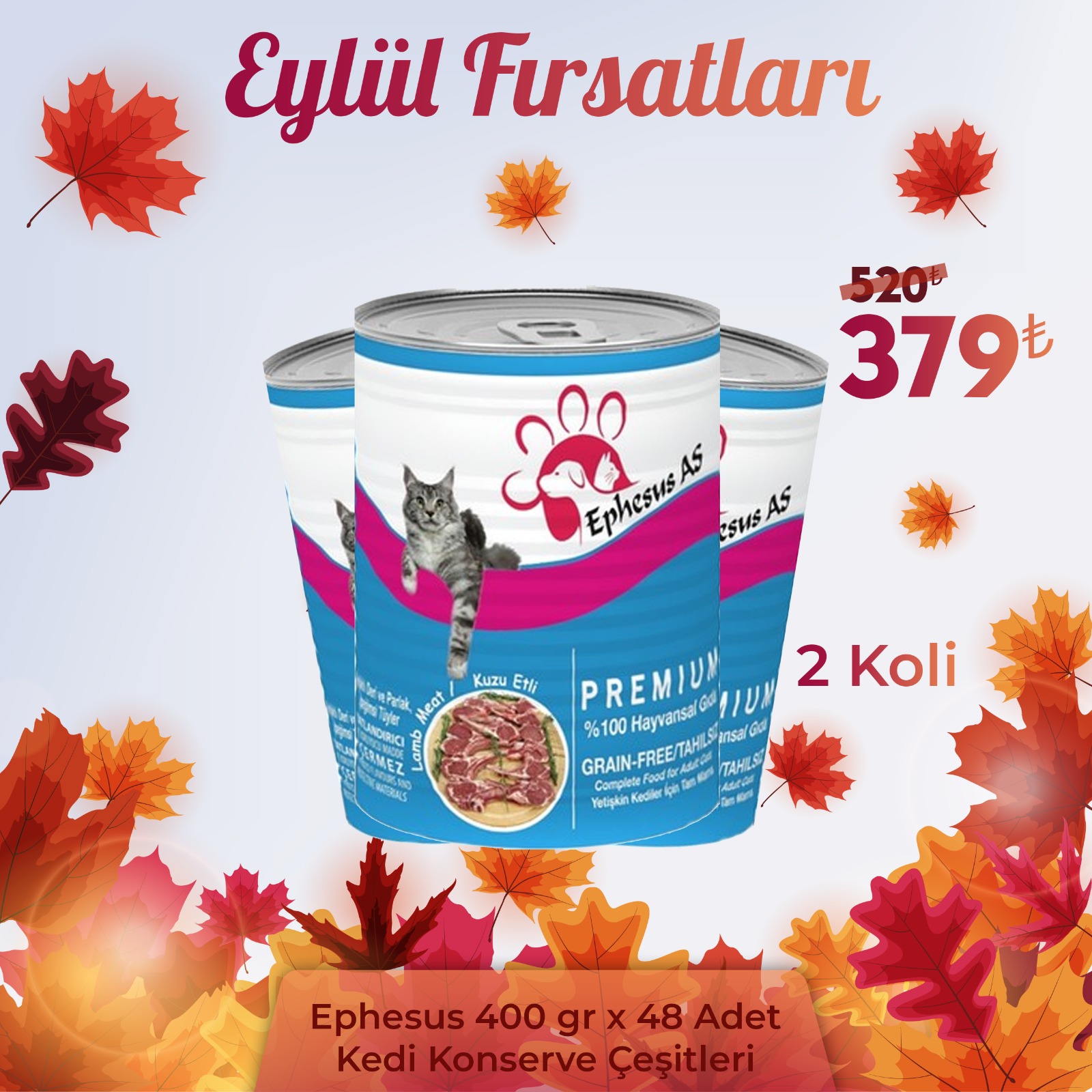 Ephesus As Kedi Konservesi Çeşitleri 415 gr x 48 Adet (Avantaj Paketi)