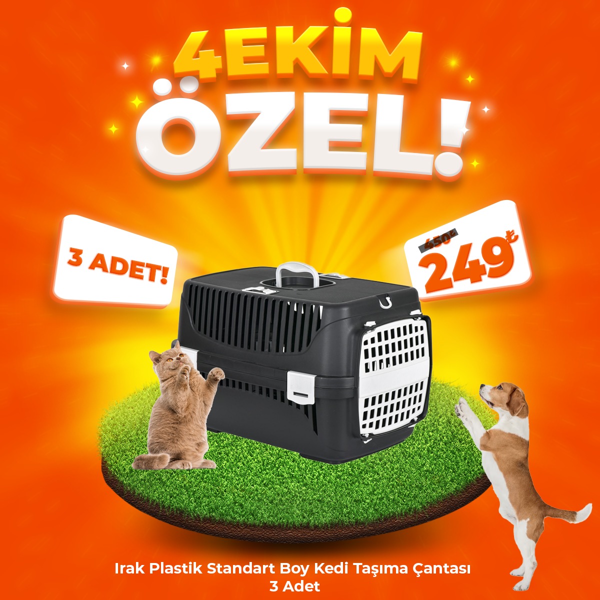 Irak Plastik Standart Boy Kedi Taşıma Çantası x 3 Adet