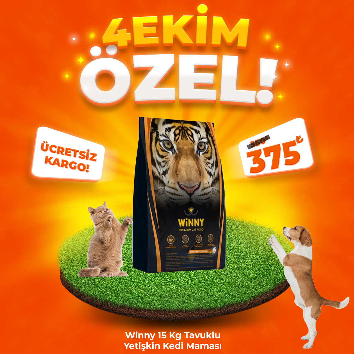 Winny Premium 15 Kg Tavuklu Yetişkin Kedi Maması (4 Ekim Özel)
