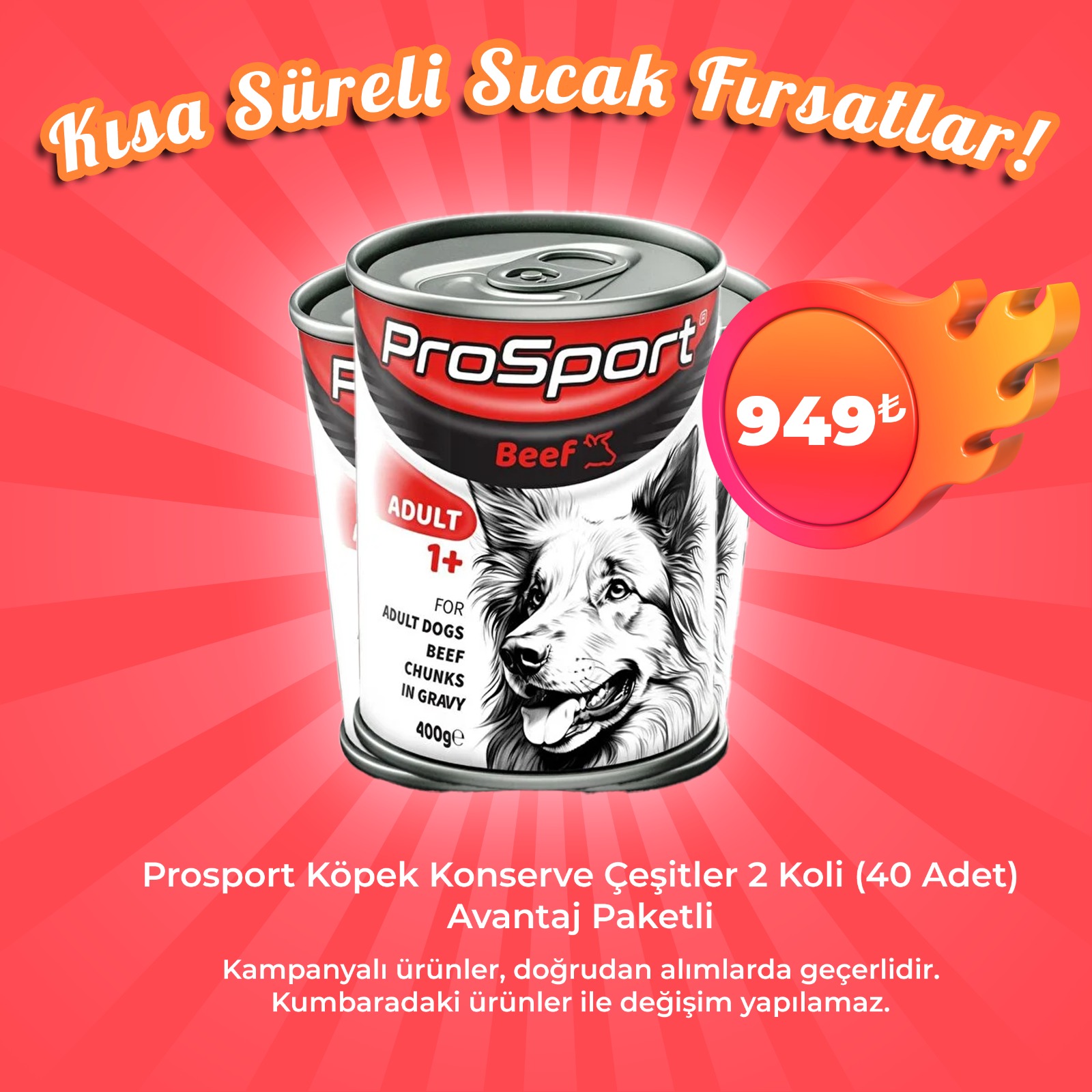 Prosport Köpek Konserve çeşitleri 2 koli Avantaj Paketi (40 Adet)