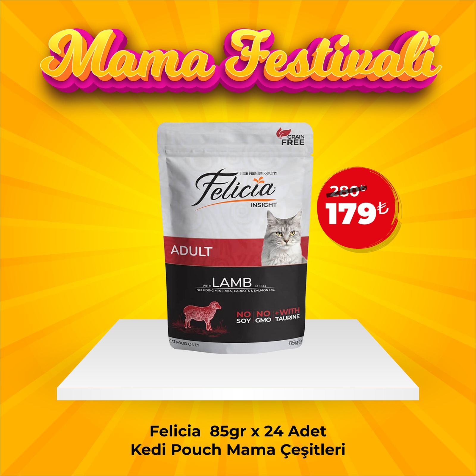 Felicia Pouch 85 gr Kedi Yaş Mama Çeşitleri 24'lü Koli