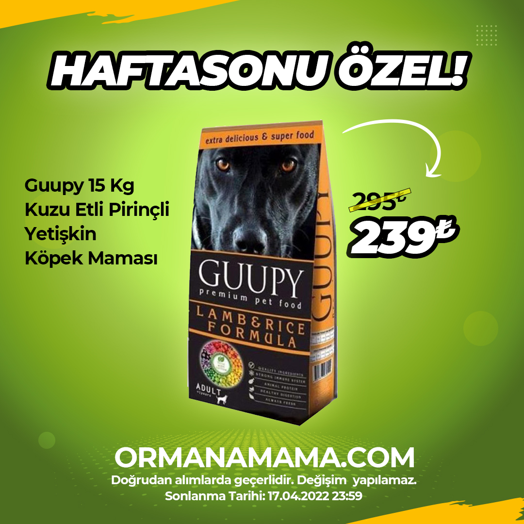 Guupy 15 Kg Kuzu Etli Yetişkin Köpek Maması