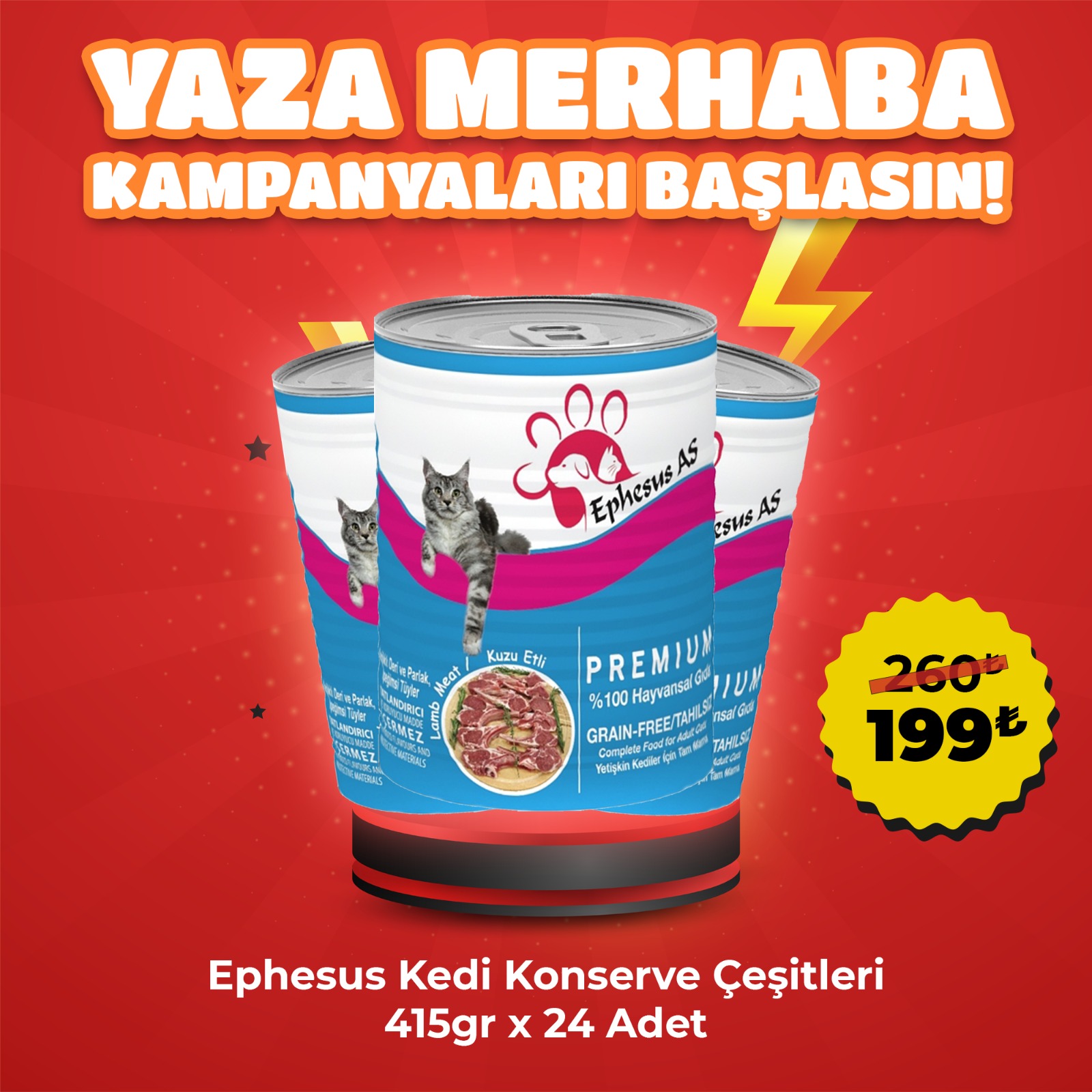 Ephesus As 415Gr x 24 Adet Kedi Konserve Çeşitleri
