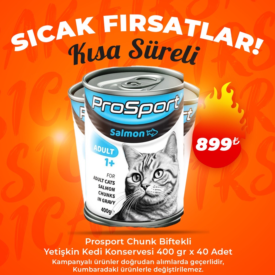 Prosport Kedi Konserve çeşitleri 2 koli Avantaj Paketi (40 Adet)