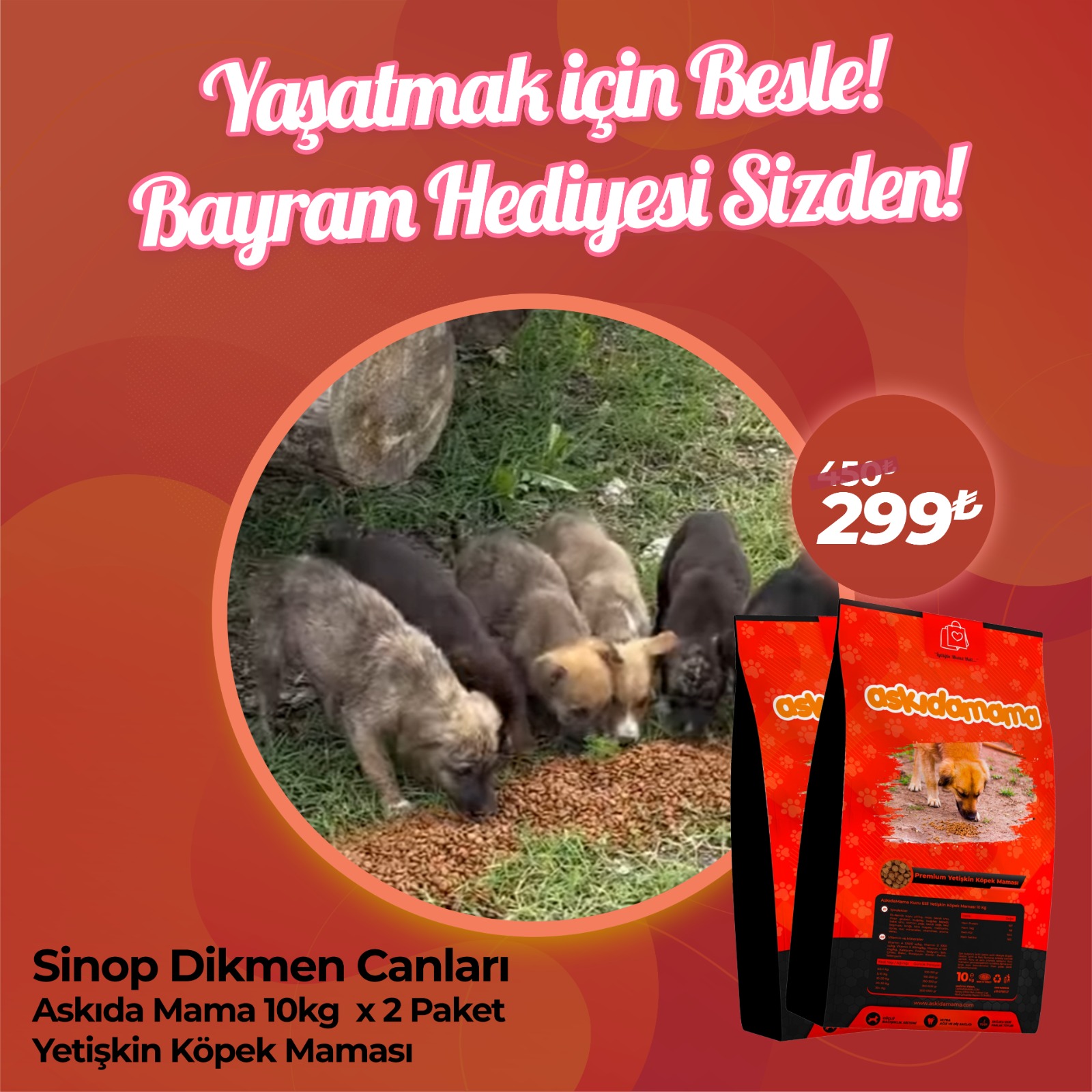 Sinop Dikmen Canları Özel Ürünü