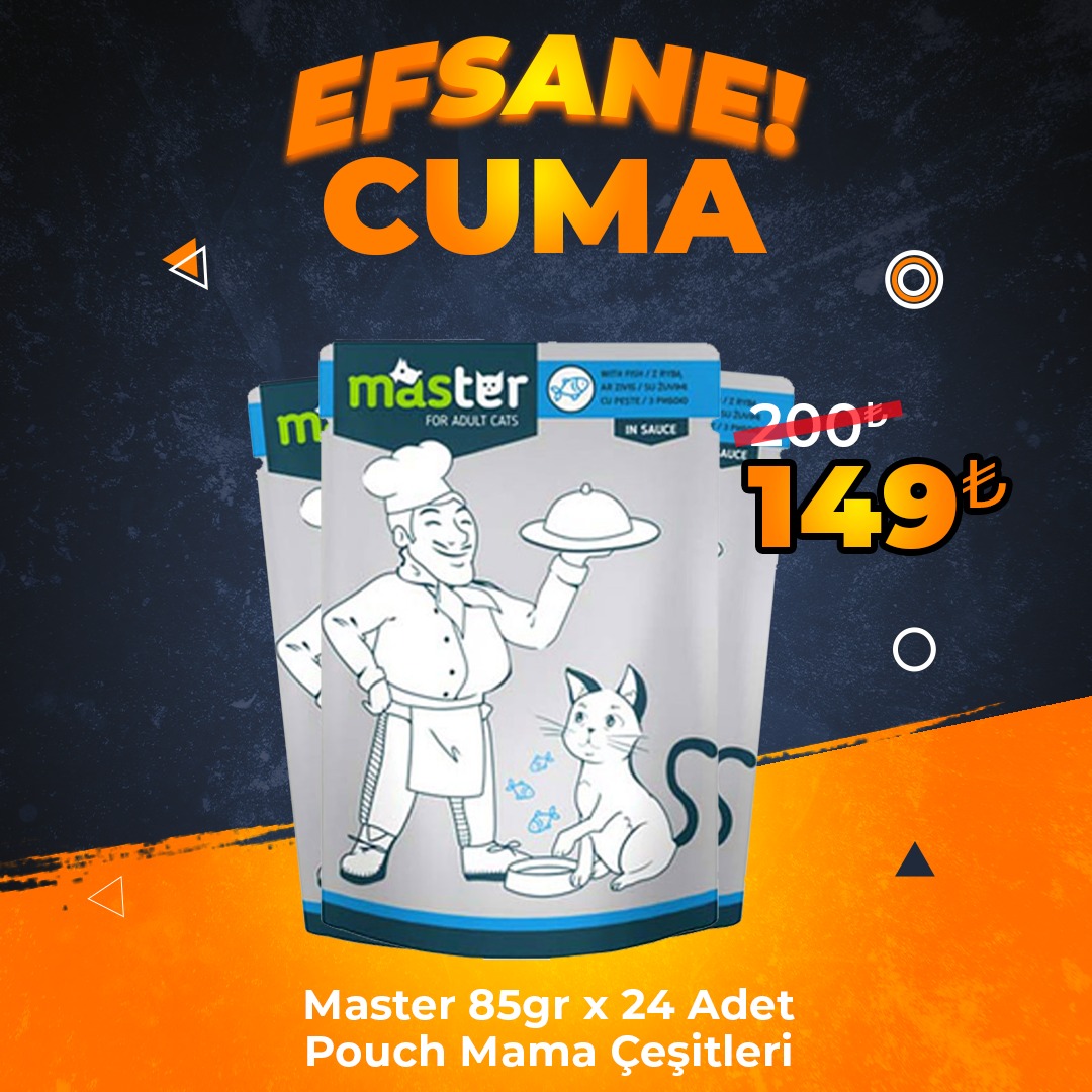 Master Av Hayvanlı Yetişkin Kedi Pouch Mama 80 grx24 Adet