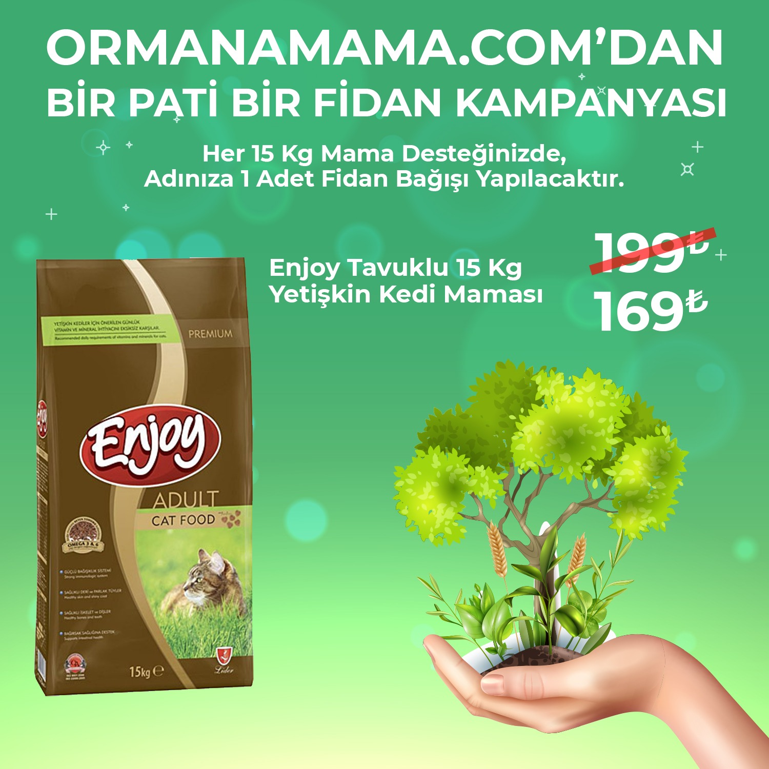 Enjoy Tavuklu Yetişkin Kedi Maması 15 kg (Fidan Hediyeli)