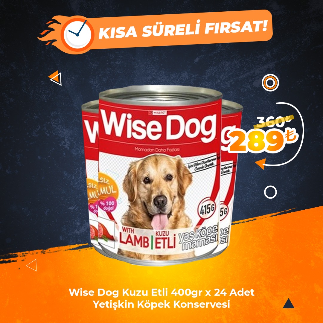Wise Dog Kuzu Etli 400gr x 24 Adet Yetişkin Köpek Konservesi