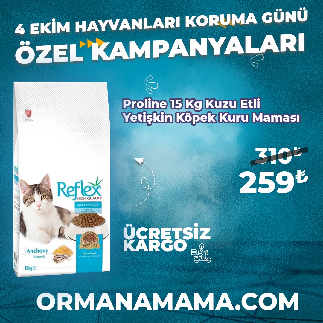 Reflex 15 Kg Hamsili Yetişkin Kedi Maması