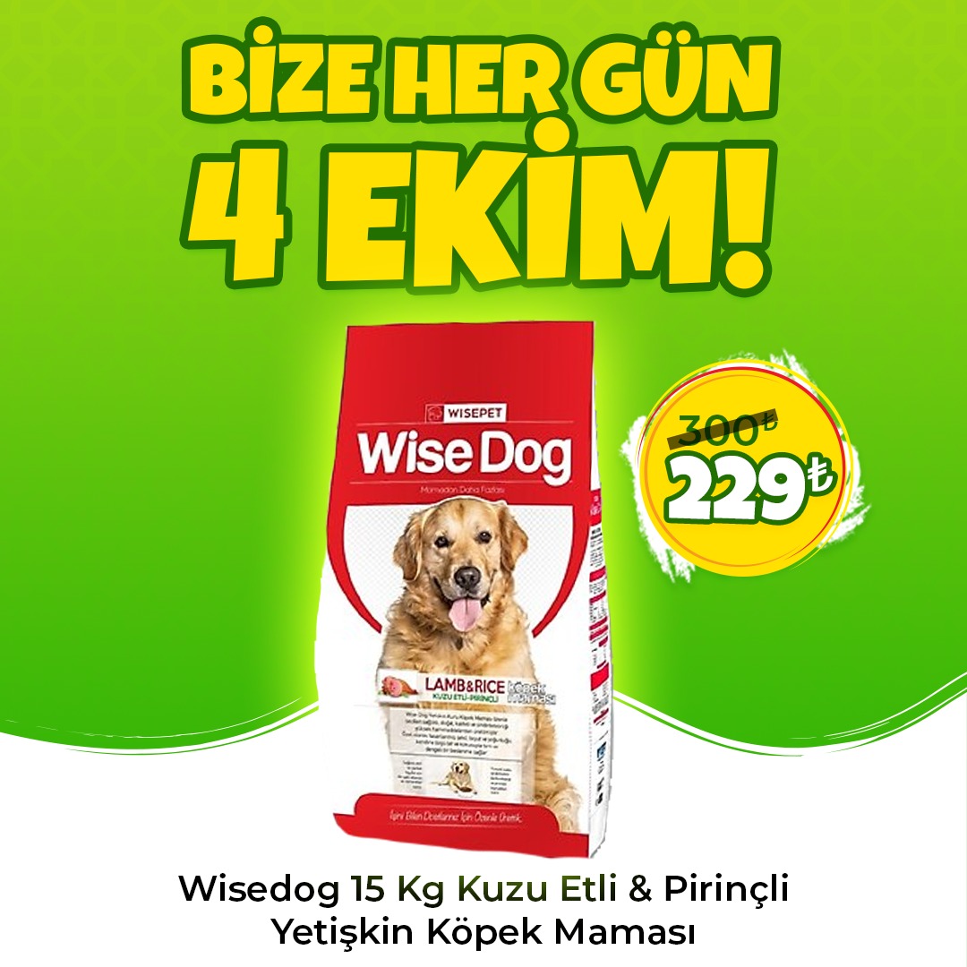 Wise Dog Kuzu Etli Yetişkin Köpek Maması 15 Kg