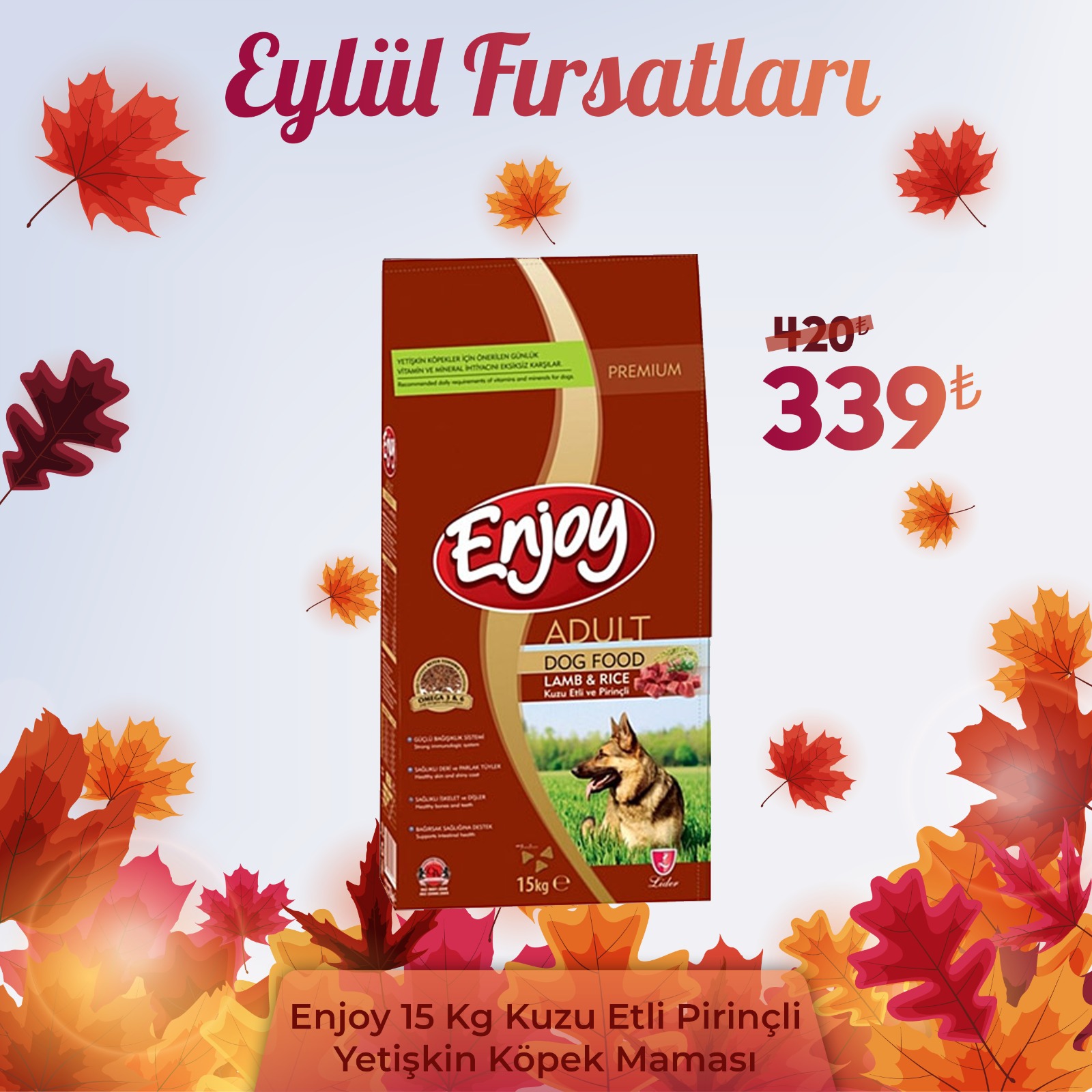 Enjoy 15 Kg Yetişkin Kuzu Etli Pirinçli Yetişkin Köpek Maması