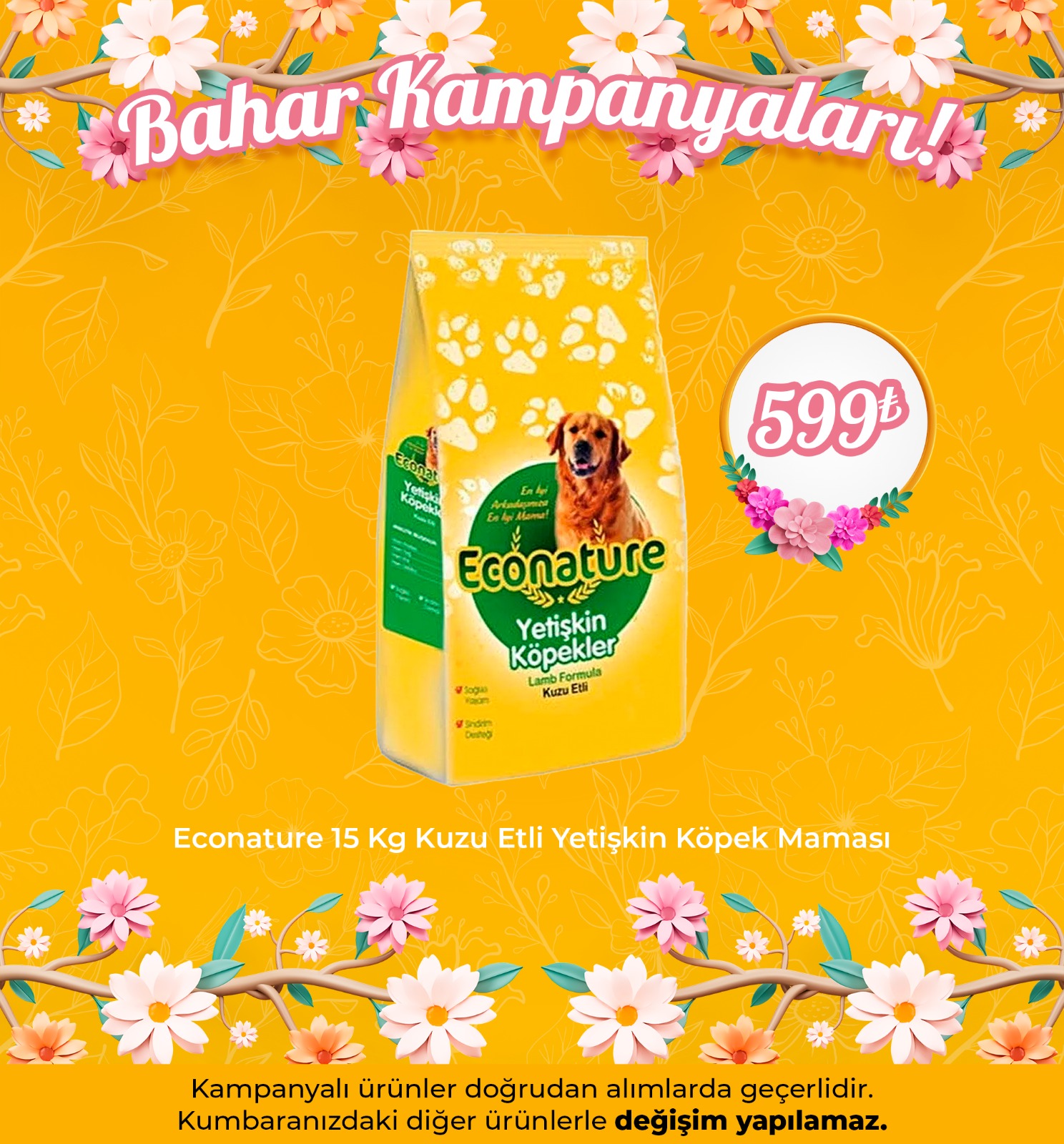 Econature 15 Kg Kuzu Etli Yetişkin Köpek Maması