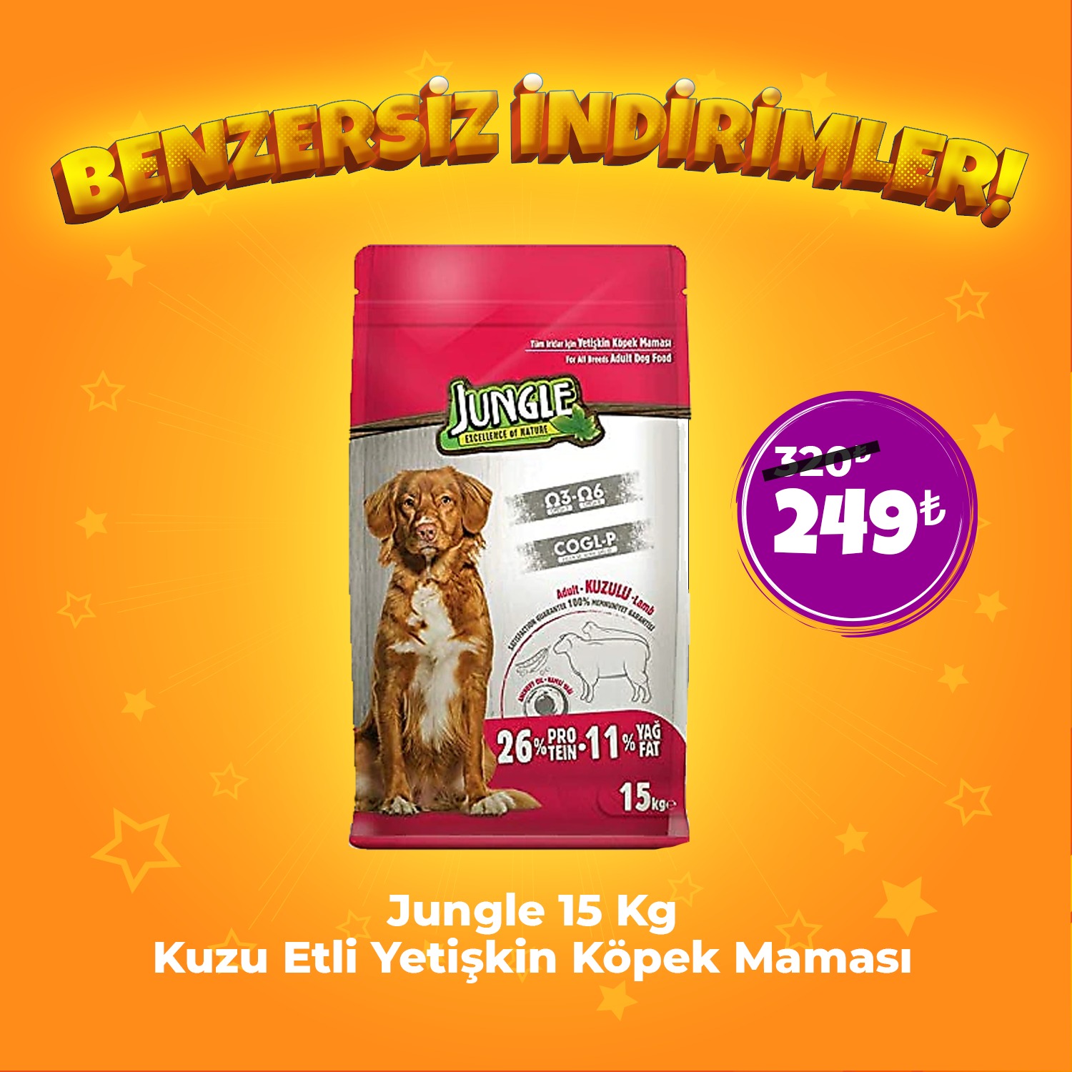 Jungle 15 kg Kuzu Etli Yetişkin Köpek Maması