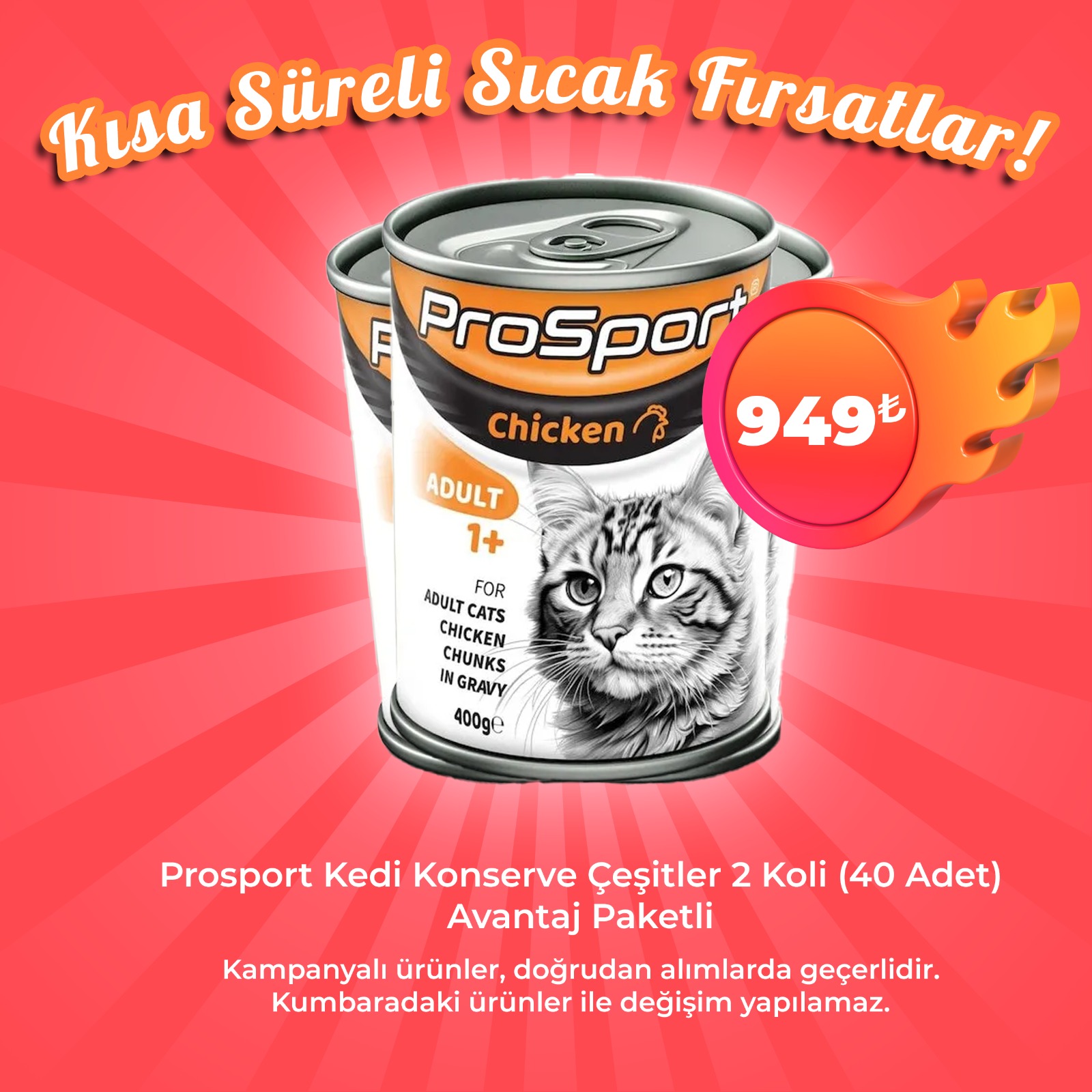 Prosport Kedi Konserve çeşitleri 2 koli Avantaj Paketi (40 Adet)