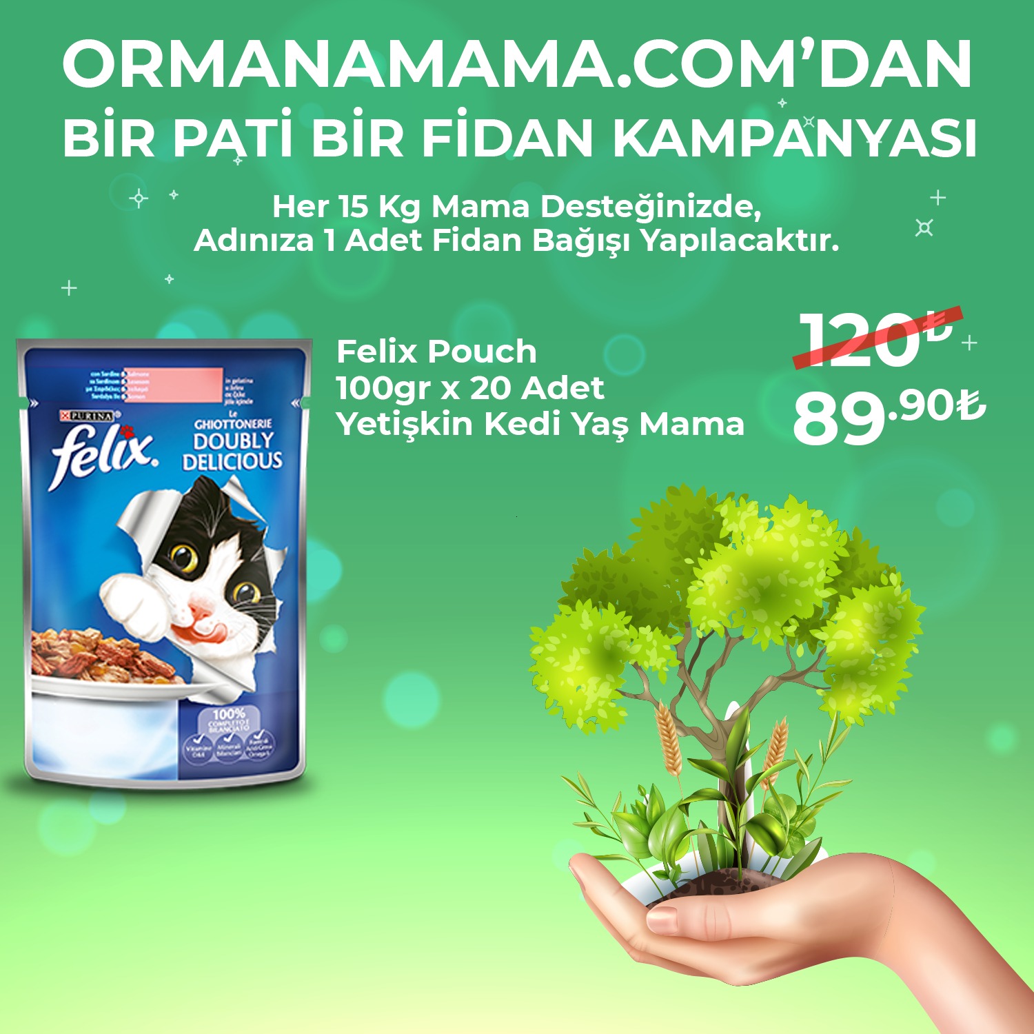 Felix Pouch 100 Gr x 20 Adet  Kedi Yaş Mama Çeşitleri (Fidan Hediyeli)