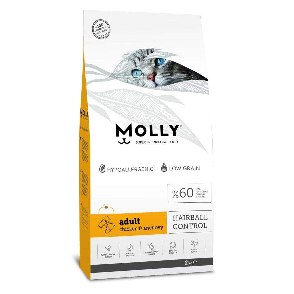 MOLLY TAVUKLU HAMSİLİ KEDİ MAMASI 2 KG