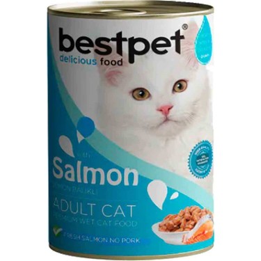 Bestpet 400Gr x 1 Adet Kedi Konservesi