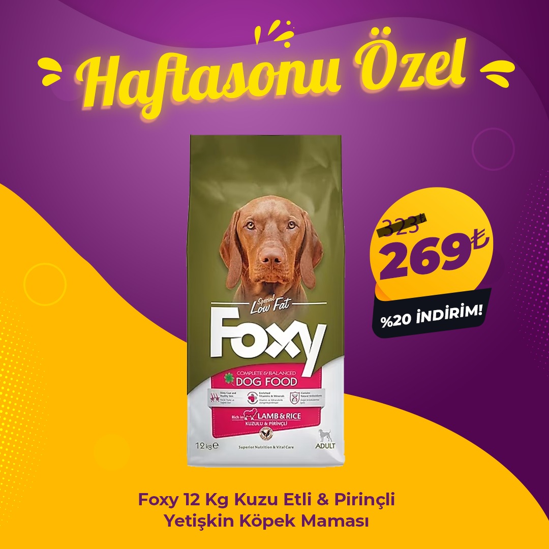 Foxy 12 Kg Kuzu Etli Yetişkin Köpek Maması