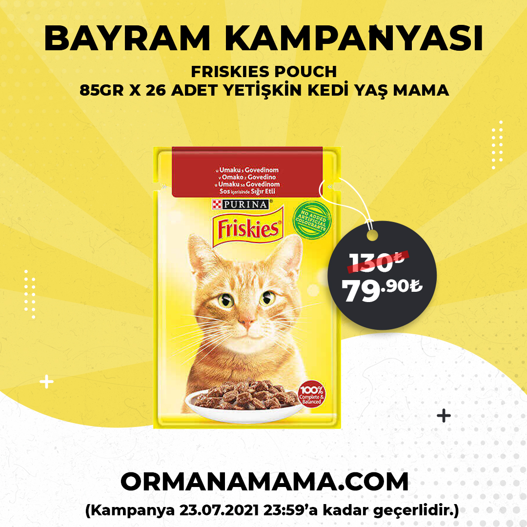 Friskies Pouch 100 Gr x 20 Adet + 6 Adet Hediyeli