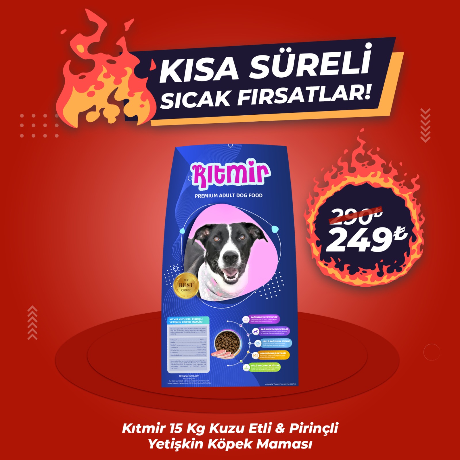 Kıtmir 15 Kg Kuzu Etli Pirinçli Premium Yetişkin Köpek Maması