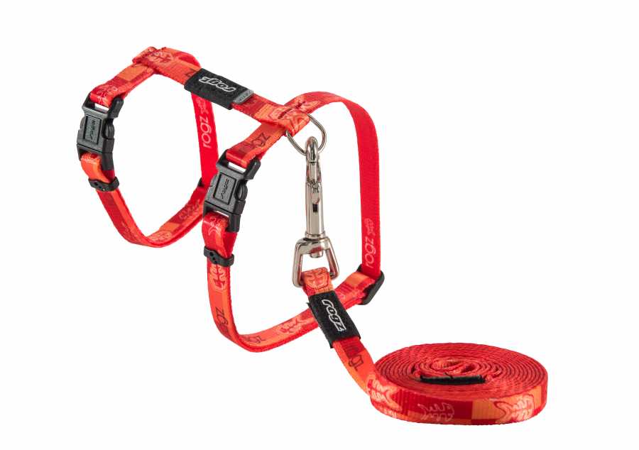 Rogz Kedi Göğüs Tasması Seti Balık Kılçık Desenli Turuncu Small 11 mm 24-40 cm