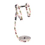 Rogz Yavru Kedi Göğüs Tasması Seti Fosforlu Turuncu Xsmall 8 mm 19,8-30 cm