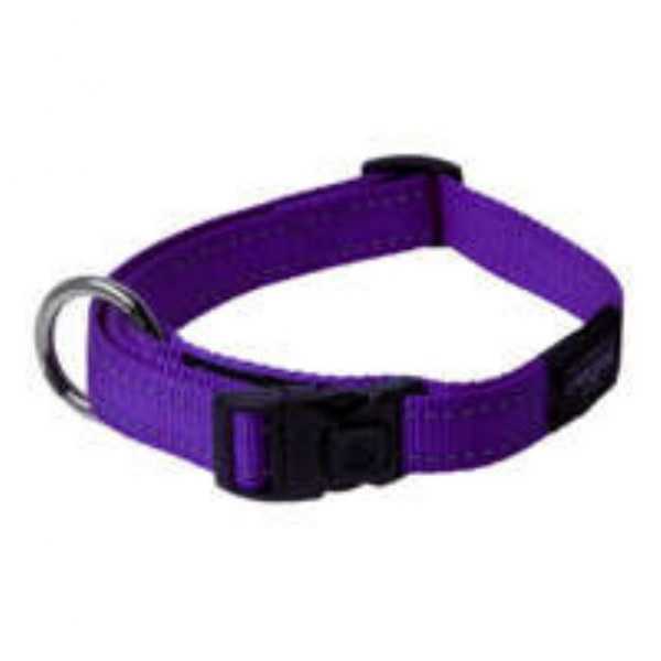Rogz Köpek Boyun Tasması Mor Large 20 mm 34-56 cm