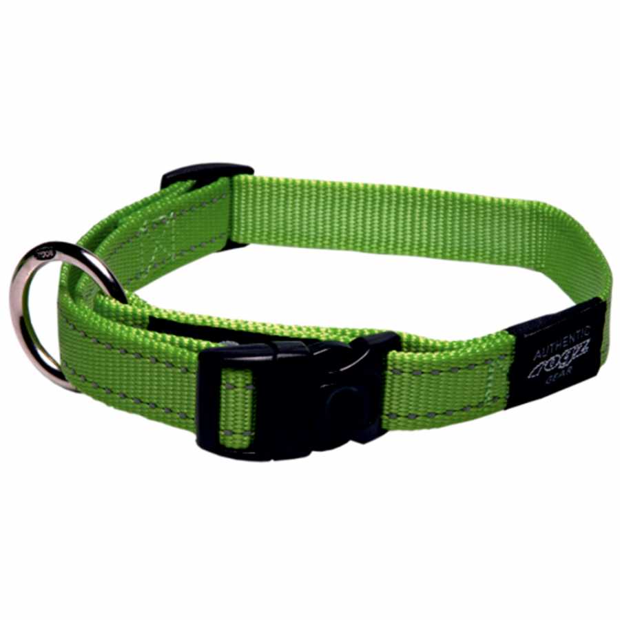 Rogz Köpek Boyun Tasması Yeşil Medium 16 mm 26-40 cm