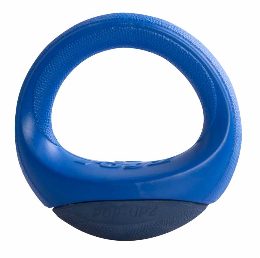 Rogz Köpek Oyuncak Batmaz Ağırlık Mavi Medium 14,5 cm