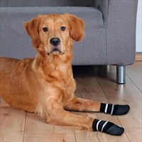 Trixie Kaymaz TabanlÄ± KÃ¶pek Ã‡orabÄ± 2 Adet L-XL