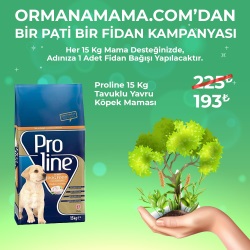 Proline 15 Kg Tavuklu Yavru Köpek Maması (Fidan Hediyeli)