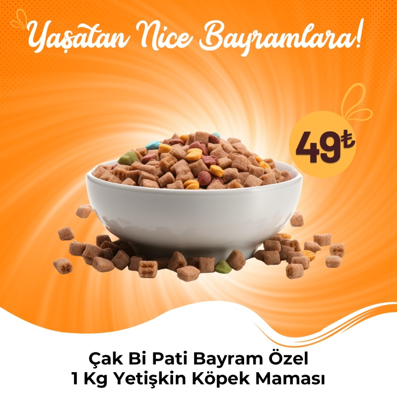 Çak Bi Pati Bayram Özel