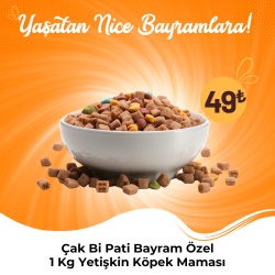 Çak Bi Pati Bayram Özel