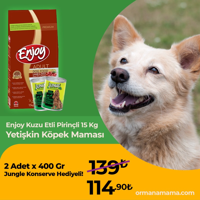 Enjoy Kuzu Etli Pirinçli 15 Kg Yetişkin Köpek Maması 2 Adet Jungle 400 Gr Konserve Mama Hediyeli