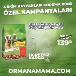 Friskies Active 10 Kg Kuzu Etli Yetişkin Köpek Maması