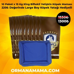 King Biftekli Yetişkin Köpek Maması 15 Kg x 10 Adet Large Boy Köpek Yatağı Hediyeli