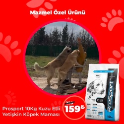 Mazmel Derneği Özel Ürünü