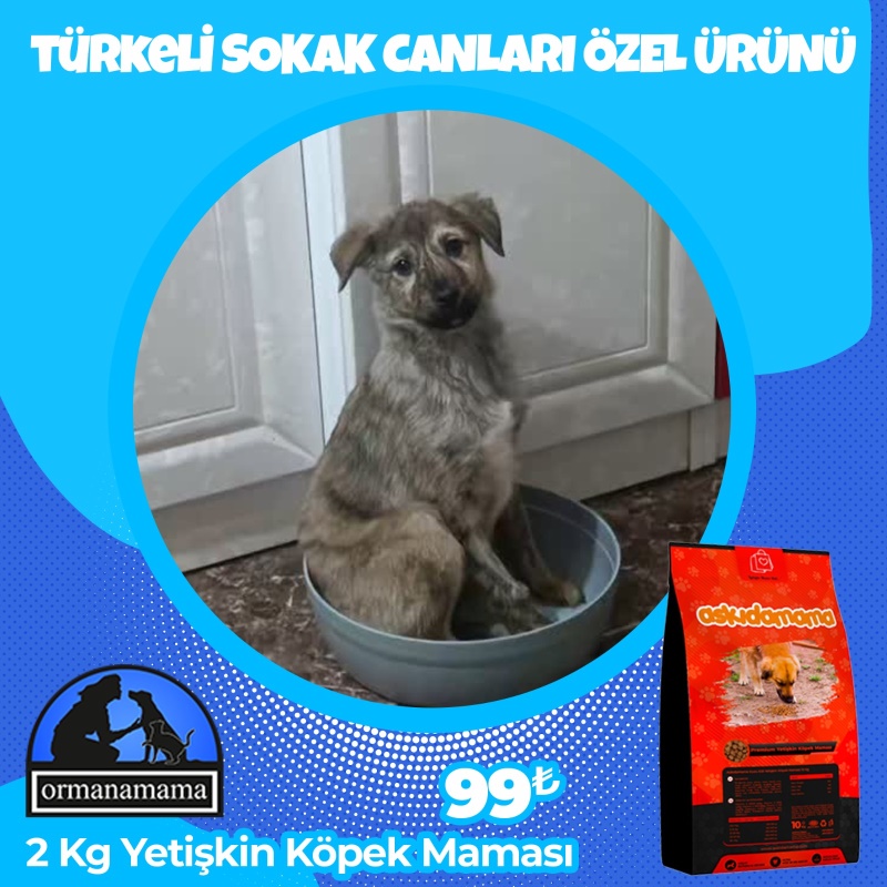 Türkeli Sokak Canları Özel 2 Kg Köpek Maması