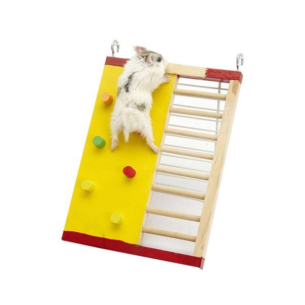 Trixie Köpek Premium Boyun Tasması M-L Siyah