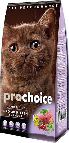 ProChoice Pro 38 Cat Kitten Plus Yavru Kedi Maması 2 Kg