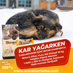 Natura Silver Kuzu Etli Pirinçli 15 Kg Yetişkin Köpek Maması Pedigree Jumbone 1 Adet x 200 Gr Ödül Maması Hediyeli