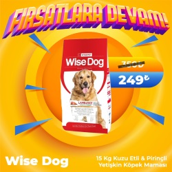 Wise Dog Kuzu Etli Yetişkin Köpek Maması 15 Kg