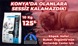Köpek Velisi Buket Özgünlü Özel Konya Destek Ürünü