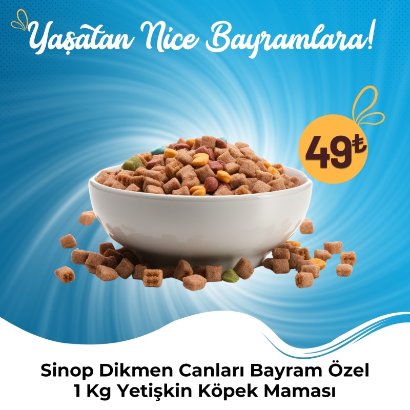 Sinop Dikmen Canları Bayram Özel