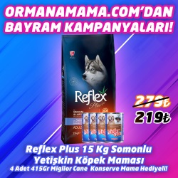 Reflex Plus Yetişkin Somonlu Yetişkin Köpek Maması 15 kg  4 Adet 415 Gr Miglior Cane Konserve Hediye